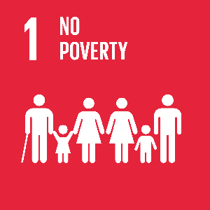 1 No poverty